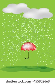 Umbrella in the rain