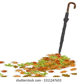 Umbrella for rain. Collection of colorfull dried leaves. Autumn, fall concept.Vector Illustration. 