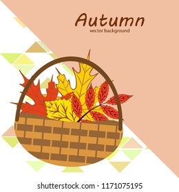 umbrella rubber boots maple leaf basket mushroom autumnal vector background