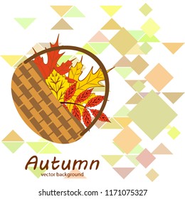 umbrella rubber boots maple leaf basket mushroom autumnal vector background
