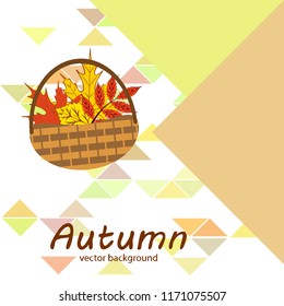 umbrella rubber boots maple leaf basket mushroom autumnal vector background