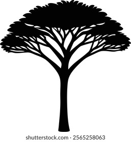 Umbrella thorn acacia tree silhouette isolated on white background. Acacia tree sign vector illustration design