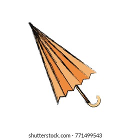 umbrella  vector illustration