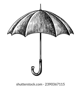 Umbrella vintage vector sketch illustration 