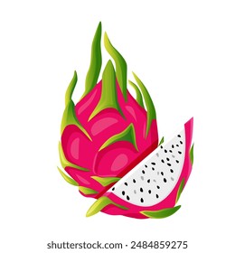 ummer tropical fruits for healthy lifestyle red dragon fruit whole fruit and half vector illustration flat cartoon icon isolated on white.Vector eps 10.