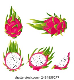 ummer tropical fruits for healthy lifestyle red dragon fruit whole fruit and half vector illustration flat cartoon icon isolated on white.Vector eps 10.