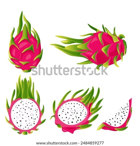 ummer tropical fruits for healthy lifestyle red dragon fruit whole fruit and half vector illustration flat cartoon icon isolated on white.Vector eps 10.