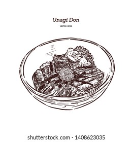 Unagi Donburi. Japanese cuisine, grilled eel with sweet sauce . Hand draw sketch vector.