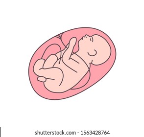 Unborn baby flat vector illustration. Healthy fetal, embryo outline color icon. Obstetrics clinic, maternity hospital logotype design element. Fetus in mother womb surrounded with placenta.