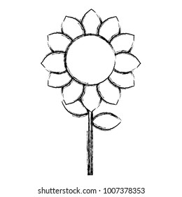 uncolored sunflower vector illustration