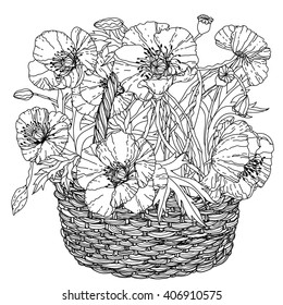 uncoloured field poppies in a basket for adult coloring book in zenart style. Hand-drawn, retro, doodle, vector, uncoloured. The best for your design, textiles, posters, coloring book in vector.