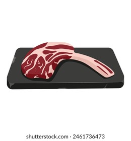 Carne de ternera cruda en bandeja de piedra. Costilla. Carne de cordero. Ilustración vectorial
