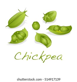 uncooked chickpeas vector on white background