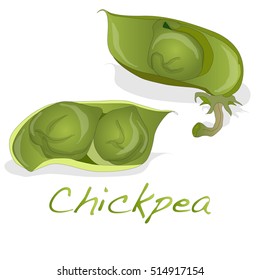 uncooked chickpeas vector on white background