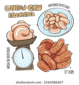 Uncooked and cooked beef intestines filling, Vector Hand Drawn