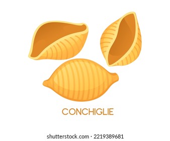 Uncooked italian pasta Conchiglie cuisine staples vector illustration isolated on white background