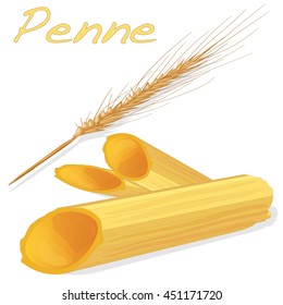 uncooked penne pasta vector isolated