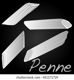 uncooked penne pasta vector isolated