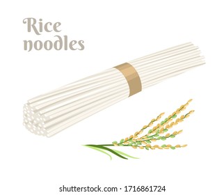 Uncooked rice noodles and an ear of rice isolated on a white background. Vector illustration of asian food in cartoon flat style.