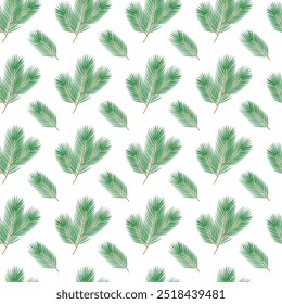 Ramas de pino esponjoso sin adornos Patrón sin fisuras aislado en blanco. Fondo de pantalla o idea de diseño de envoltura
