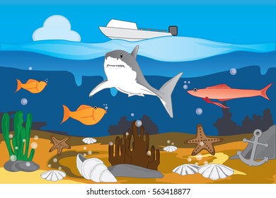 under blue ocean life