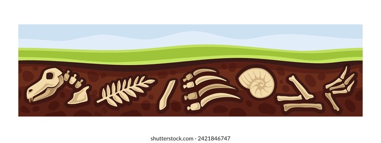 Under earth layer concept. Ground and soil, land. Archeology and paleontology. Fossils and artifacts, bones of dinosaur. Cartoon flat vector illustration isolated on white background