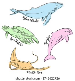 Under the Sea Animals Hand Drawn Pattern, dolphin, whale, manta ray, turtle