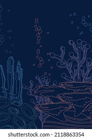 under sea coral and bubbles