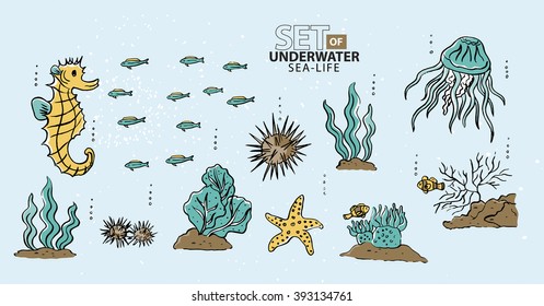 Under the sea, fish and sea-life
