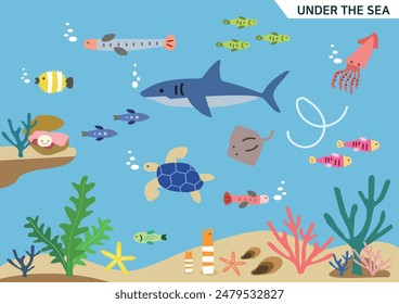 under the sea ​​and marine life