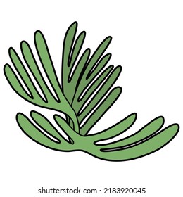 Under Sea Plants hand drawn vector set
