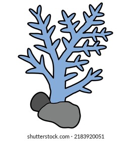 Under Sea Plants hand drawn vector set