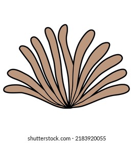 Under Sea Plants hand drawn vector set