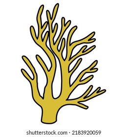 Under Sea Plants hand drawn vector set