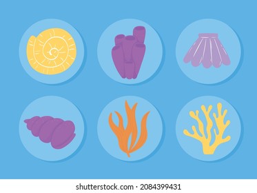 under the sea seaweed and shells