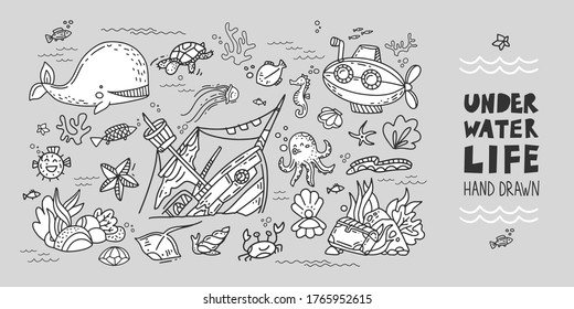 Under the sea set. Hand drawn vector illustration. Sea life