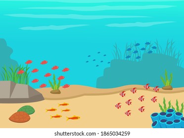 under the sea vector background, Tropical sea natural background. Landscape of marine life - Island in the ocean and underwater world with different animals. Low polygon style flat illustrations