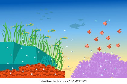 under the sea vector background, Tropical sea natural background. Landscape of marine life - Island in the ocean and underwater world with different animals. Low polygon style flat illustrations