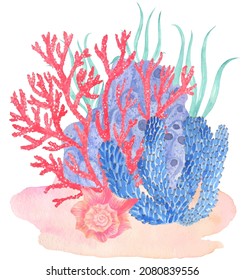 Under water. Colorful corals. Hand painting watercolor illustration. Under ocean, wildlife.