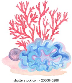 Under water. Colorful corals. Hand painting watercolor illustration. Under ocean, wildlife.