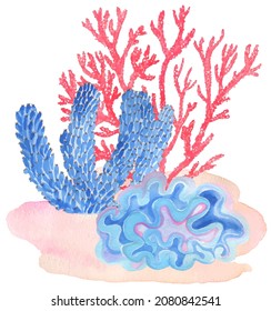 Under water. Colorful corals. Hand painting watercolor illustration. Under ocean, wildlife.