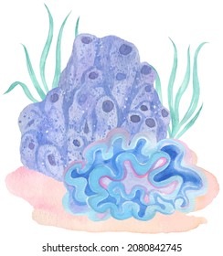 Under water. Colorful corals. Hand painting watercolor illustration. Under ocean, wildlife.