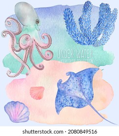 Under water. Colorful manta, corals, octopus and seashells. Hand painting watercolor illustration. Under ocean, wildlife.