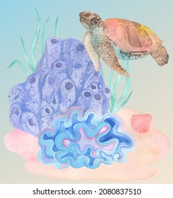 Under water. Colorful turtle and corals. Hand painting watercolor illustration. Under ocean, wildlife.