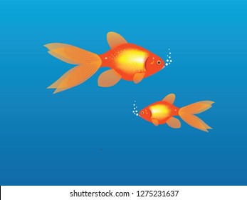 Under water gold fish. Gold fish with water.