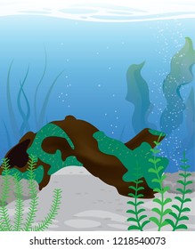 under water river plant and log