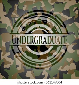 Undergraduate on camouflaged pattern