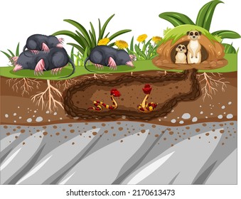 Underground animal hole in cartoon style illustration