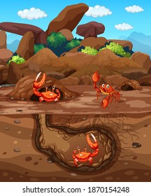 Underground animal hole with many crabs illustration