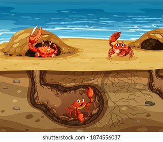 Underground animal hole with many crabs illustration